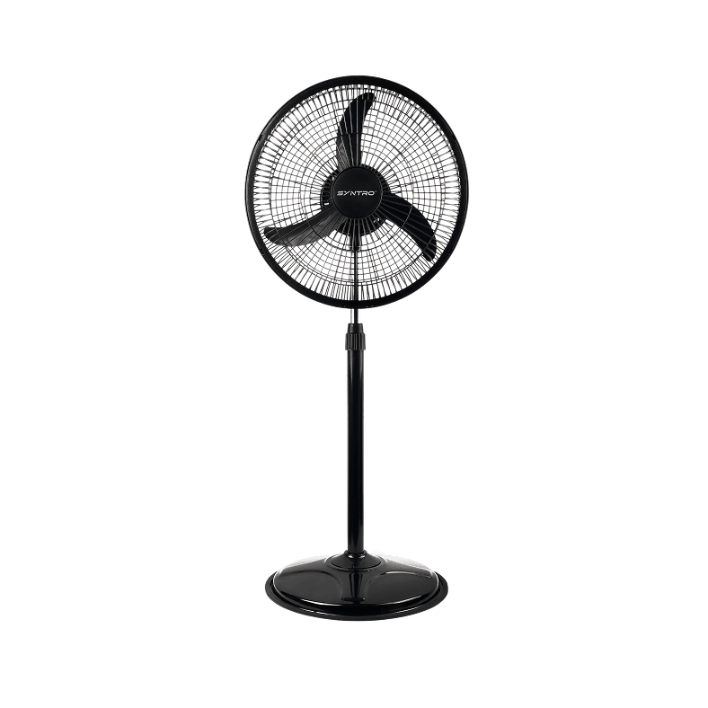 Pedestal Fans
